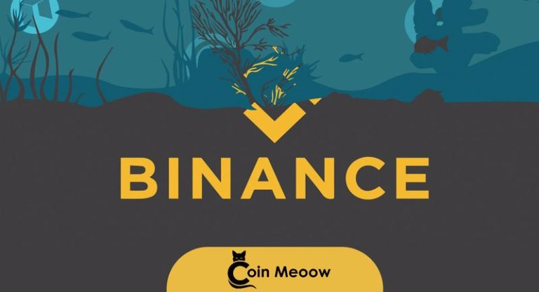 Binance Review Fees, Safety, Services !