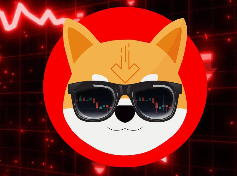 What is Bear Inu Coin?