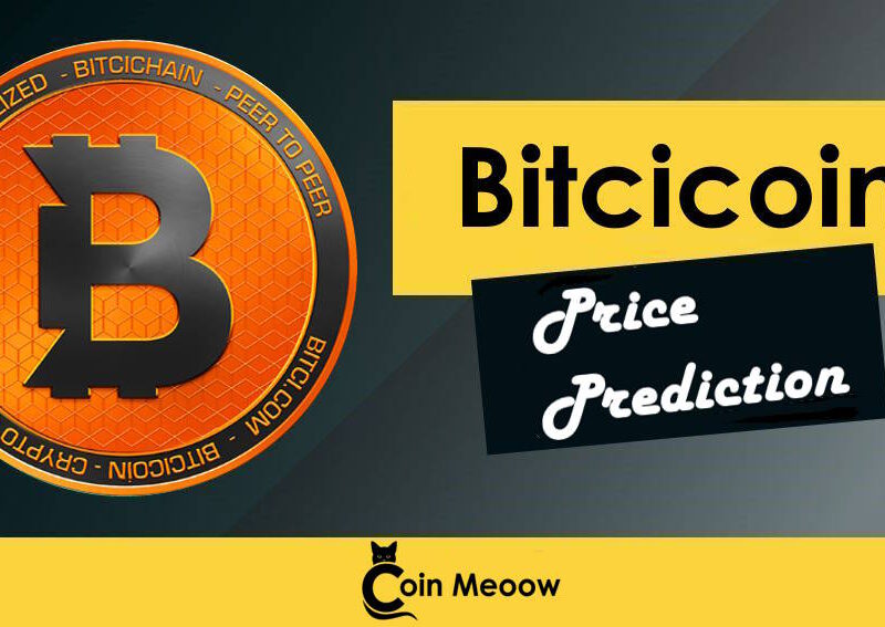 Bitcicoin Price Prediction, Review 2023